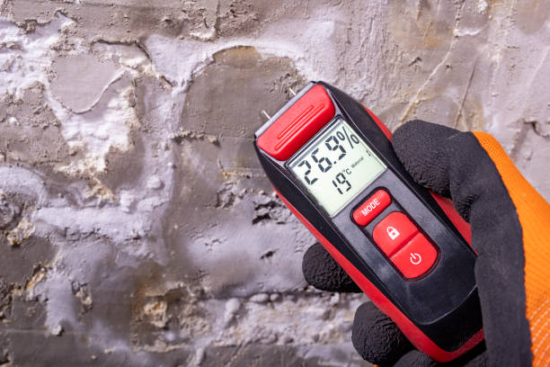 Best Mold Remediation Experts  in Chelan, WA