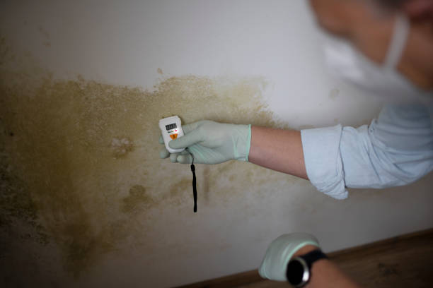 Best Mold Testing  in Chelan, WA