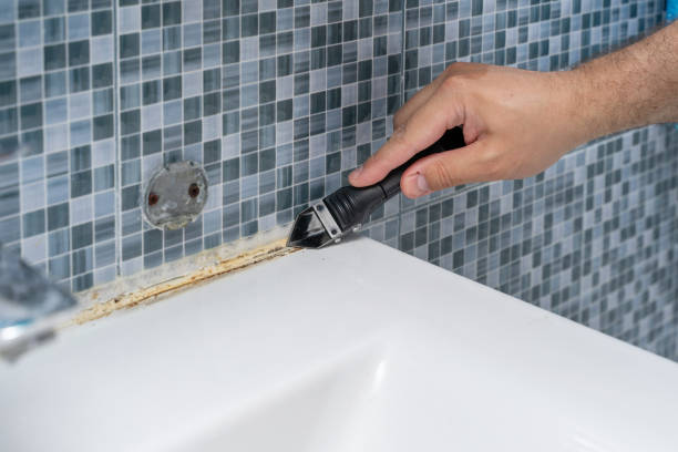 Best Best Mold Removal Companies  in Chelan, WA
