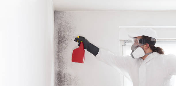 Best Water Damage Restoration  in Chelan, WA