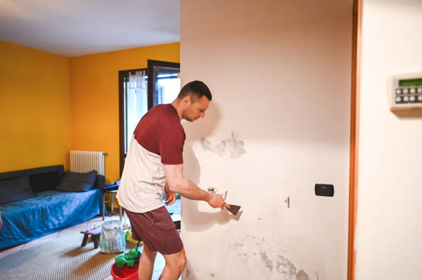 Best Emergency Mold Removal  in Chelan, WA